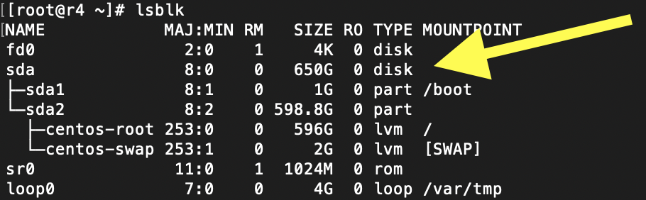 How to Expand Root Partition on CentOS / AlmaLinux 8/9 in VMware ESXi: A Step-by-Step Guide 3 Verify the Disk Space